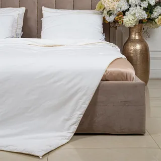 PREMIUM SILK / ПРЕМИАЛЬНЫЙ ШЕЛК 220х240 1500 г Одеяло шелковое всесезонное DC1003
