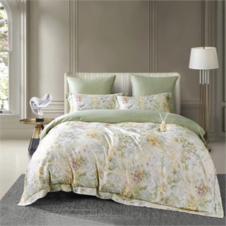 ASABELLA 2220-6 Постельное белье евро: фланель, тенсел/хлопок 2220-6