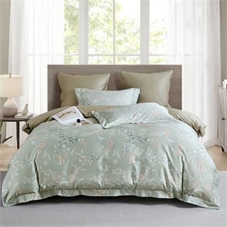 ASABELLA 2314-6 Постельное белье евро: люкс-сатин, египетский хлопок Premium 2314-6