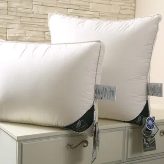FLAUM SAHNE 50х70 Подушка пуховая средняя DA-17502