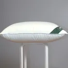 FLAUM EIS 50х70 Подушка пуховая упругая DE-18506