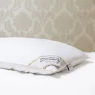 PREMIUM SILK / ПРЕМИАЛЬНЫЙ ШЕЛК 50х70 1 кг Подушка шелковая низкая PC1001
