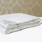 PREMIUM SILK / ПРЕМИАЛЬНЫЙ ШЕЛК 200х220 800 г Одеяло шелковое легкое DC1004