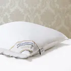 PREMIUM SILK / ПРЕМИАЛЬНЫЙ ШЕЛК 70х70 1,7 кг Подушка шелковая средняя PC1008