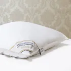 PREMIUM SILK / ПРЕМИАЛЬНЫЙ ШЕЛК 70х70 1,5 кг Подушка шелковая средняя PC1007