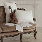 FLAUM HERBST 70х70 Подушка пуховая средняя DH-14702