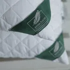 FLAUM ENERGIE 50х70 Подушка средняя GE-55500