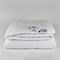 PREMIUM FAMILIE NON-ALERGENIC 200x220 Одеяло стеганое всесезонное G-FSN-09240 - фото 144333