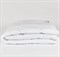 PREMIUM FAMILIE NON-ALERGENIC 200x220 Одеяло стеганое всесезонное G-FSN-09240 - фото 144336