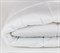PREMIUM FAMILIE NON-ALERGENIC 200x220 Одеяло стеганое всесезонное G-FSN-09240 - фото 144337