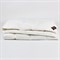 AIR DOWN GRASS 150x200 Одеяло пуховое всесезонное LIGHT G-31130