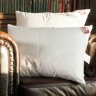 GRASS CAMEL WOOL / КАМЕЛУС 68x68 Подушка с верблюжьей шерстью регулируемая G-64120