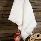 GRASS KINDER SNOW 150x200 Одеяло пуховое всесезонное G-62130