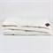 AIR DOWN GRASS 160x220 Одеяло пуховое всесезонное LIGHT G-31170