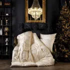 GRASS SILK DOWN 200x220 Одеяло пуховое теплое G-82142