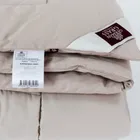 GRASS ALMOND WOOL / АЛМОНДИ 220x240 Одеяло верблюжье теплое G-64182
