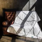 GRASS ORGANIC LINEN / ОРГАНИ 240x260 Одеяло стеганое легкое G-238161