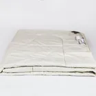 GRASS ORGANIC LINEN / ОРГАНИ 200x200 Одеяло стеганое легкое G-238191