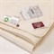 ORGANIC СOTTON GRASS 240x260 Одеяло стеганое легкое G-99161