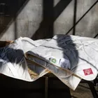 GRASS MATTRESS ORGANIC LINEN / ОРГАНИ 180x200 Наматрасник стеганый легкий G-38180