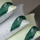 FLAUM REGENBOGEN 70х70 Подушка пуховая мятно-голубая DR-15732