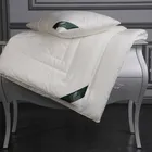 FLAUM BAMBOO 200х220 Одеяло бамбуковое всесезонное GB-51208