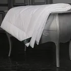 FLAUM MAIS 200х220 Одеяло стеганое легкое NM-43207