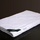 FLAUM BAUMWOLLE 150х200 Одеяло стеганое легкое NB-41157