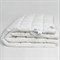 ROYAL DOWN GRASS 200х200 Наматрасник-перина пуховая теплая G-66122