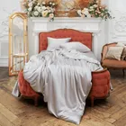 GRASS SILVERY GREY Дуэт (семейное): Шелковое постельное белье G-2221550