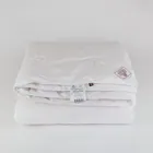 GRASS PAISLEY SILK 200x220 Одеяло шелковое легкое G-65141