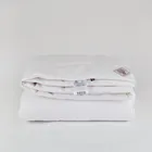 GRASS PAISLEY SILK 200x220 Одеяло шелковое легкое G-65141