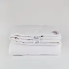 GRASS PAISLEY SILK 240x260 Одеяло шелковое всесезонное G-65160