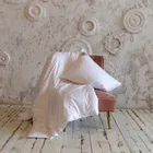GRASS PAISLEY SILK 240x260 Одеяло шелковое всесезонное G-65160