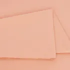 GRASS APRICOT PALETTE / ПАЛЛАДА АБРИКОС Простыня 240х260 G-40240260