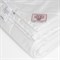 NON-ALLERGENIC PREMIUM GRASS 160х220 Одеяло стеганое всесезонное G-108171