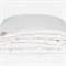 ALLIANCE DOWN GRASS 200х220 Одеяло пуховое всесезонное LIGHT G-32141