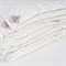 ALLIANCE Down&DOWN LIGHT GRASS 220х240 Одеяло двойное G-323212422