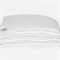 ALLIANCE Down&TENCEL GRASS 150х200 Одеяло двойное G-329721520 - фото 183534