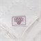 ROYAL DOWN GRASS 240х260 Одеяло пуховое всесезонное LIGHT G-61161
