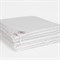 ALLIANCE TENCEL&SILK GRASS 150х200 Одеяло двойное G-9729731520 - фото 183930