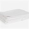 ALLIANCE SILK GRASS 150х200 Одеяло шелковое всесезонное LIGHT G-97330