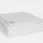 GRASS ALLIANCE SILK / АЛЬЯНС ШЕЛК 220х240 Одеяло шелковое всесезонное облегченное G-97380