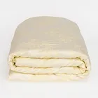 GRASS GOLDEN PALETTE / ПАЛЛАДА Пододеяльник 150х200 см G-42150200