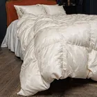 GRASS SILK DOWN 160х220 Одеяло пуховое теплое G-82172