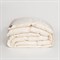 SILK DOWN GRASS 160х220 Одеяло пуховое теплое G-82172