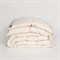SILK DOWN GRASS 160х220 Одеяло пуховое теплое G-82172