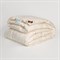 SILK DOWN GRASS 160х220 Одеяло пуховое всесезонное G-82170