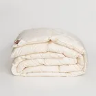 GRASS SILK DOWN 160х220 Одеяло пуховое всесезонное G-82170