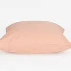 GRASS APRICOT PALETTE / ПАЛЛАДА АБРИКОС Наволочки 50х70 см (2 шт.) G-407070
